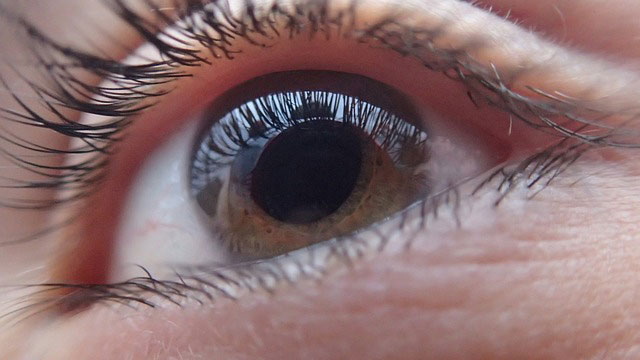 Jak należy zadbać o swój wzrok