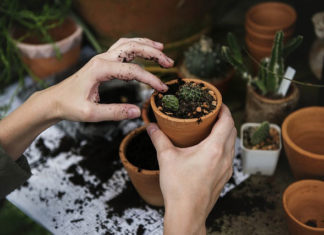 5 gadżetów, które ułatwią pracę w domu i ogrodzie