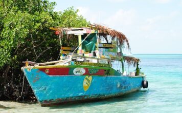 Ile schnie uszczelniacz do miski olejowej?