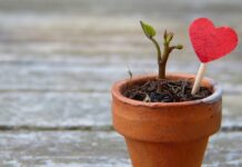 Jak rozciągnąć skórę naturalną?