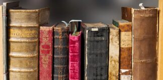 Jak wyczyścić skórzaną tapicerkę w samochodzie domowym sposobem?