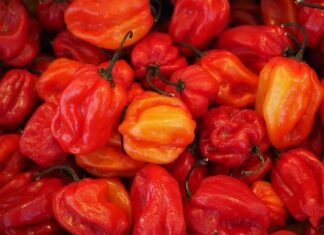 Ile SHU ma Habanero?