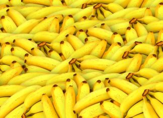 Czy banany są jagodami?