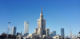 Czy w Polsce są jadowite pająki?