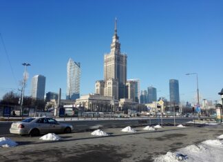 Czy w Polsce są jadowite pająki?