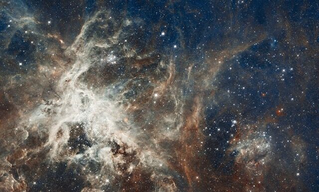 Gdzie można spotkać tarantule?